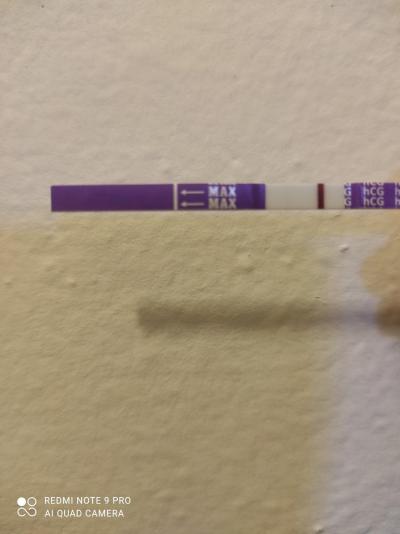 Centra asistované reprodukce | Ivf říjen 2021