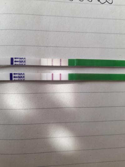 Testování a těhotenský test | Ovulacni test po biochemickem těhotenství
