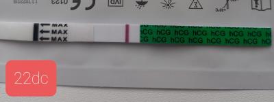 Testování a těhotenský test | Je to duch nebo tak vypada kazdy negativni test?