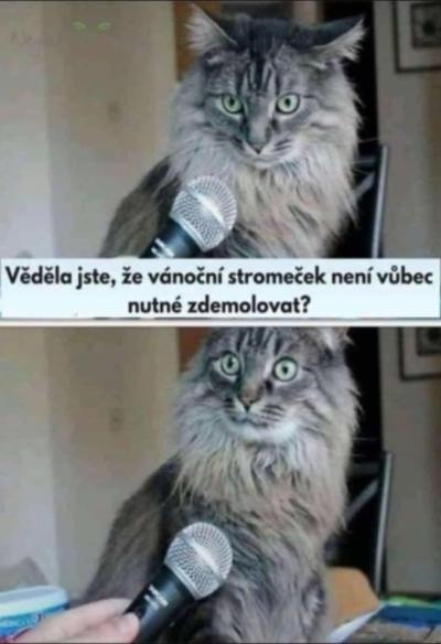 Pro pobavení | Jedna normalní vánoční