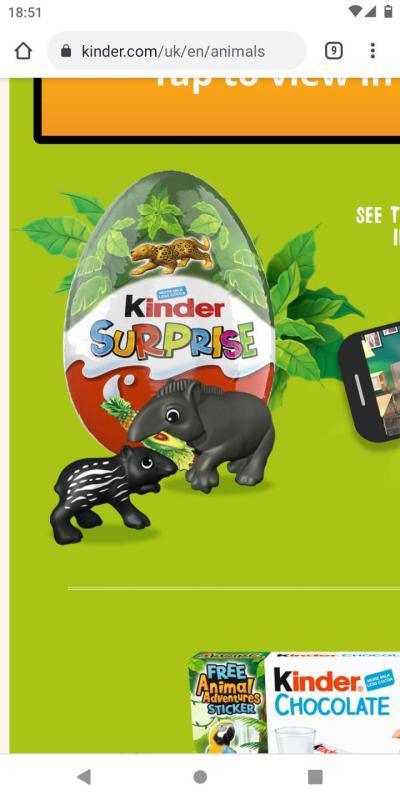 Vaříme, pečeme, konzervujeme | Kinder Surprise vajíčko