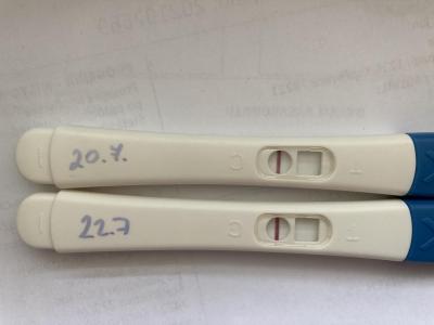 Testování a těhotenský test | Tt v den očekávané ms duch?