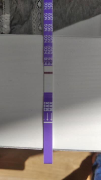Testování a těhotenský test | Vidíte tam něco? Duch nebo ryska