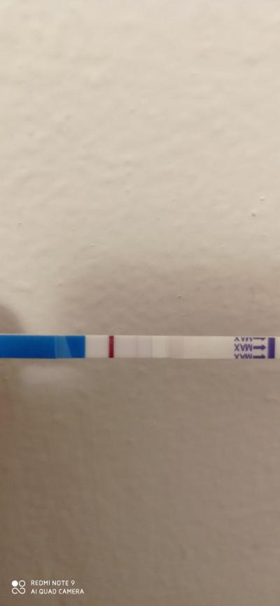 Testování a těhotenský test | Vidíte ducha?