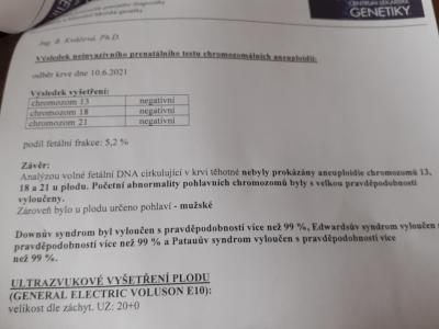Těhotenství | TP prosinec 2021