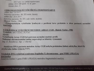 Těhotenství | TP prosinec 2021
