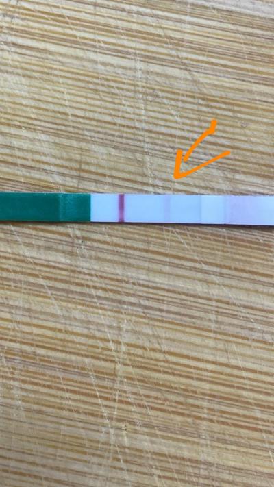 Testování a těhotenský test | Vidíte tam něco? Duch nebo ryska