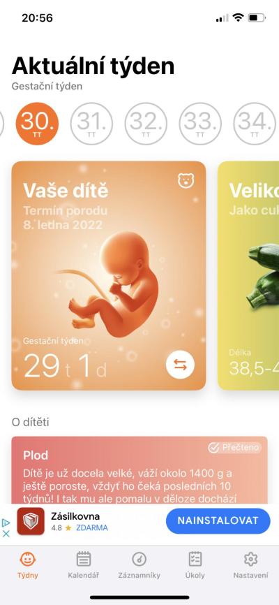 Těhotenství | 29+0 je 30 týden?