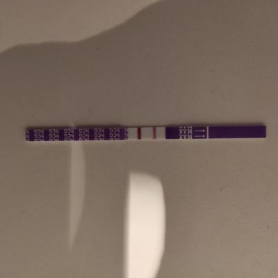 Testování a těhotenský test | Druhá čárka na těhotenském testu