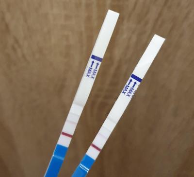 Testování a těhotenský test | Který dpo podle TT?