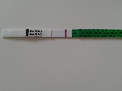 Testování a těhotenský test | V den ms duch, ale jen na jednom testu