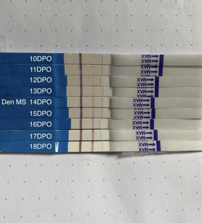 Testování a těhotenský test | Mamtest sílí, ale Dr.Max ne