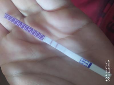 Snažení | Ovulace a test negativní