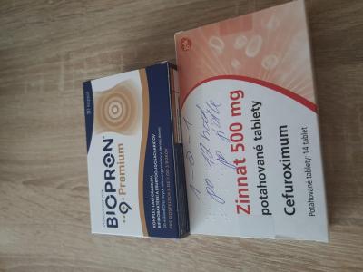 Těhotenství | Borelióza v 33 tt