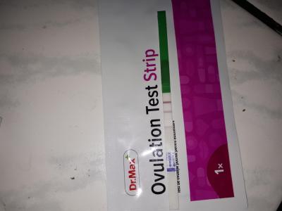 Snažení | Blíží se ovulka?