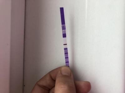 Testování a těhotenský test | Duch,nebo ryska + špinění