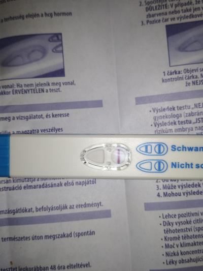 Testování a těhotenský test | Vidíte tam něco? Duch nebo ryska