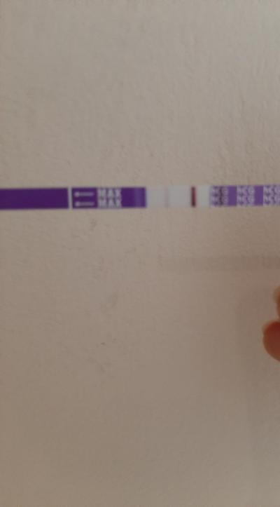 Testování a těhotenský test | Zkušenost s testováním před MS?