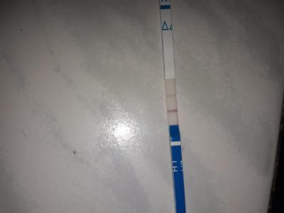 Snažení | Myslíte že je ovu test pozitivní?
