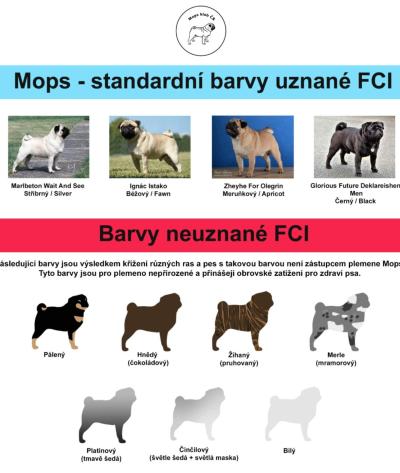 Vše možné | Dítě s ADHD a pes