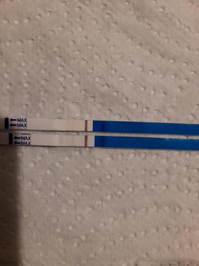 Testování a těhotenský test | Pozitivní těhotenský test 22 dc?