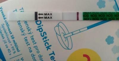 Testování a těhotenský test | Tt v den očekávané ms duch?