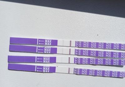 Testování a těhotenský test | TT sílí pomalu