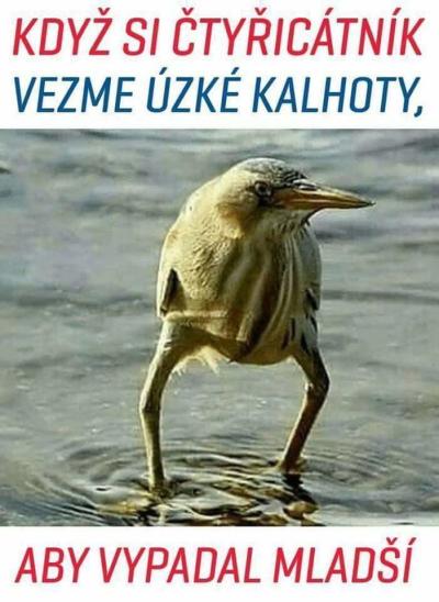 Nakupujeme - obchody, reklamace | Móda po covidu