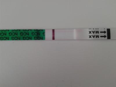 Testování a těhotenský test | Tt v den očekávané ms duch?