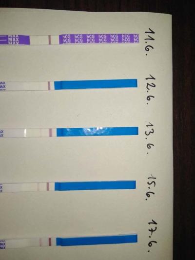 Testování a těhotenský test | Je to duch nebo ryska?