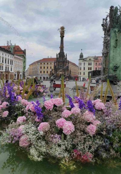 Stejné názory | Nemám ráda Olomouc