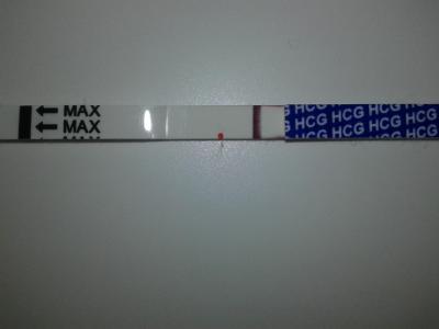 Testování a těhotenský test | Tt v den očekávané ms duch?