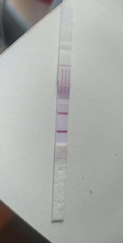 Testování a těhotenský test | Mimoděložní a test