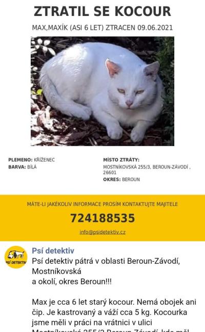 Zvířata | Kočičí diskuse