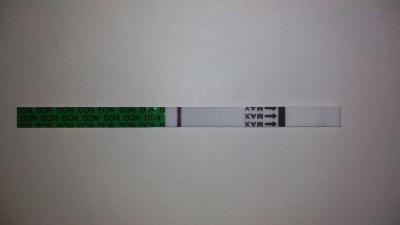 Testování a těhotenský test | Vidíte taky ducha?
