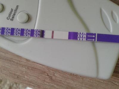 Testování a těhotenský test | Tt v den očekávané ms duch?
