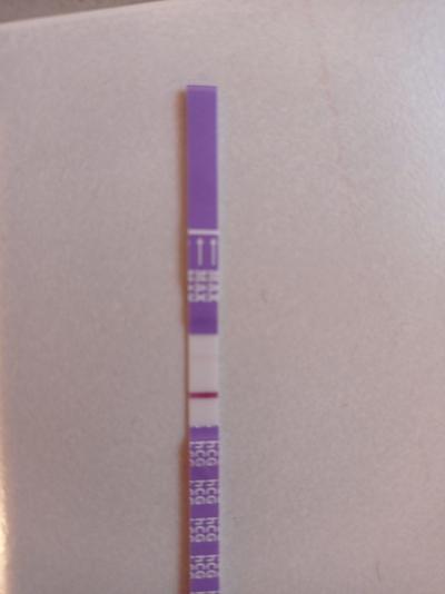 Testování a těhotenský test | Těhotenký test