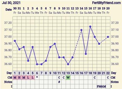 Snažení | Proběhla ovulace dle grafu bazální teploty?