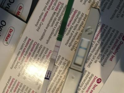 Snažení | Ovulační testy obyčejné a Clearblue