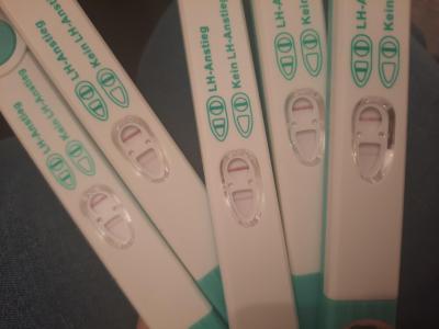 Testování a těhotenský test | Facelle těhotenský test