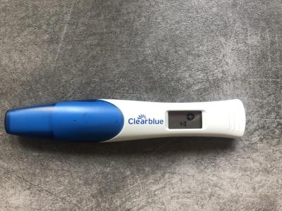 Testování a těhotenský test | Vidíte tam něco? Duch nebo ryska