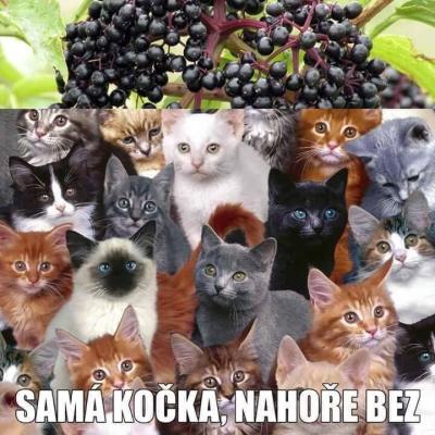 Vše možné | Kolik máte kalhotek/podprsenek?