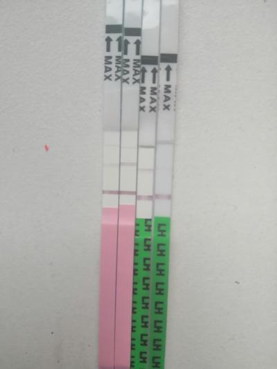 Testování a těhotenský test | Čeká nyní někdo na //