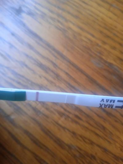 Testování a těhotenský test | Tt v den očekávané ms duch?