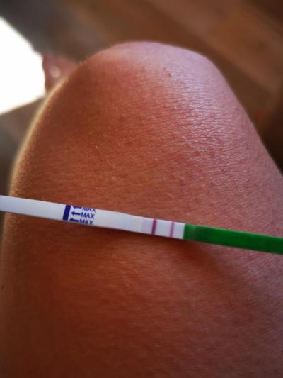 Snažení | Odhalí ovulační test těhotenství?
