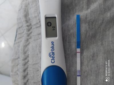 Testování a těhotenský test | TT sílí pomalu