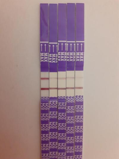 Centra asistované reprodukce | 1. IVF - Repromeda