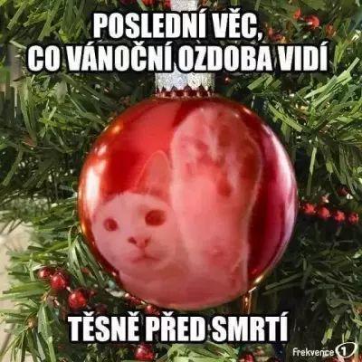 Pro pobavení | Jedna normalní vánoční