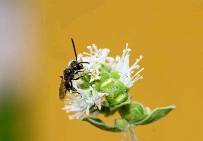 Stejné názory | Co byste chtěli dokázat