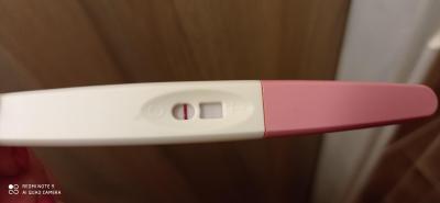 Testování a těhotenský test | Vidíte ducha?